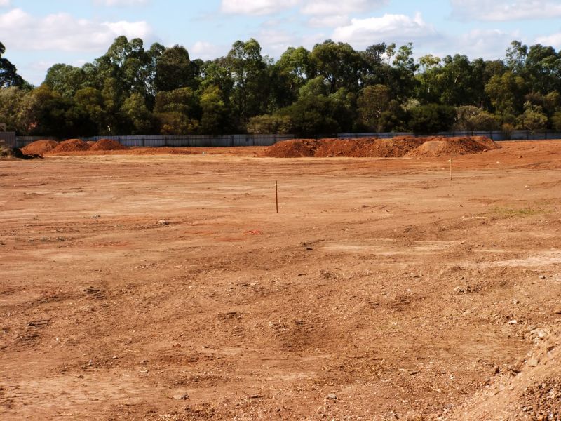 Cleared Land Visualization