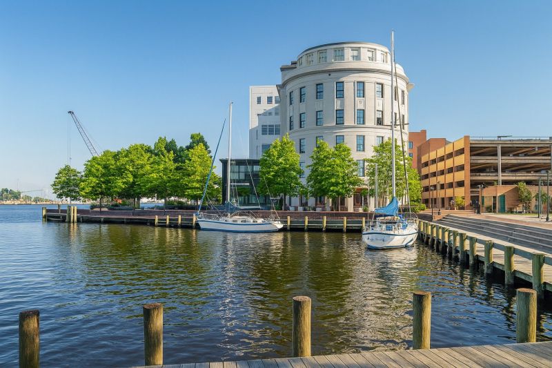 Waterfront Land Clearing