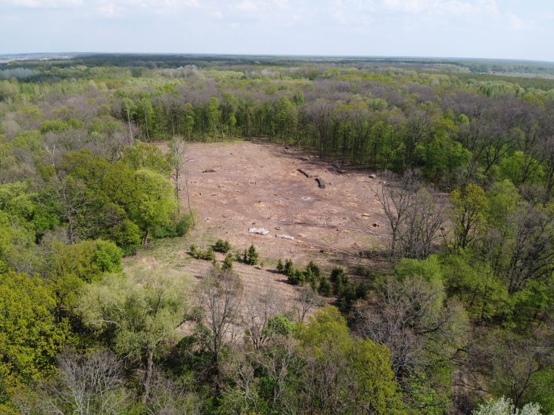 Scheduling Land Clearing