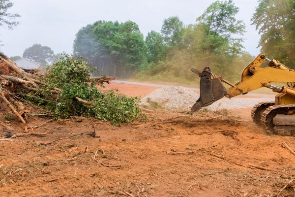 Forestry Mulching Service in Cumming