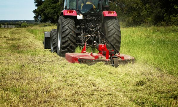 Brush Clearing Service in Cumming