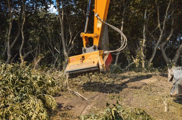 Brush Removal Service in Cumming