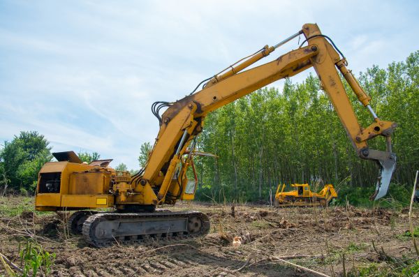 Farm Clearing in Cumming