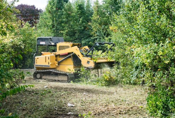 Pathway Clearing in Cumming