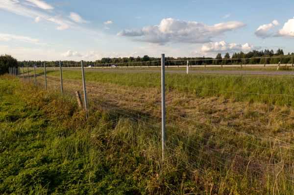 Property Line Clearing in Cumming