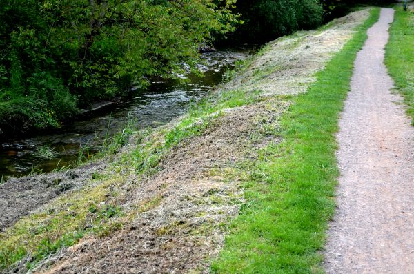 Trail Cutting in Cumming